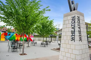 2043 Spring Green Dr, Wheaton, IL 60189 - Photo 36