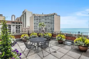 73 E Elm St, Chicago, IL 60611 - Photo 34