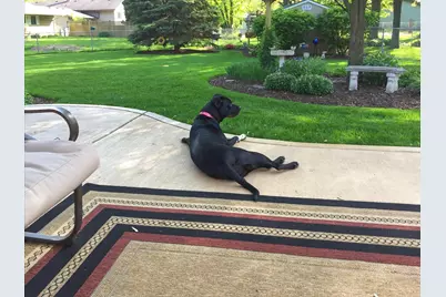 6828 Kincaid Court, Woodridge, IL 60517 - Photo 28