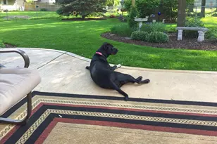 6828 Kincaid Ct, Woodridge, IL 60517 - Photo 28