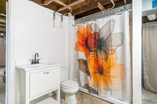 1146 S Union St, Aurora, IL 60505 - Photo 20