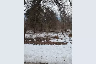 1601 Faithorn Avenue, Crete, IL 60417 - Photo 1