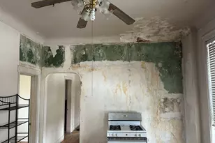 1123 W Vernon Park Pl, Chicago, IL 60607 - Photo 22