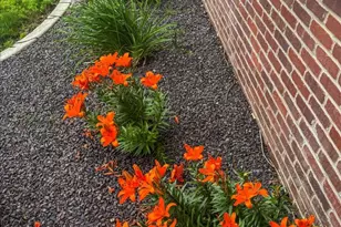 500 Raef Rd, Downs, IL 61736 - Photo 38