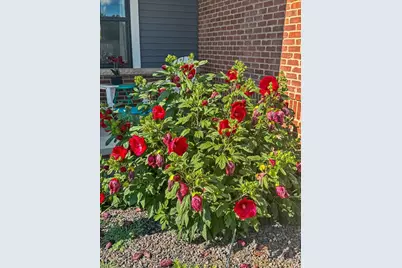 500 Raef Road, Downs, IL 61736 - Photo 44