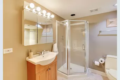 8132 Kolmar Avenue, Skokie, IL 60076 - Photo 22