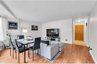 211 E Ohio Street #1203, Chicago, IL 60611 - Photo 8