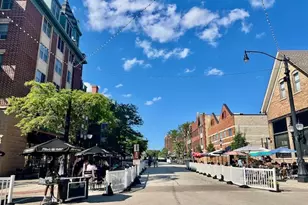 151 W Wing St, Arlington Heights, IL 60005 - Photo 32