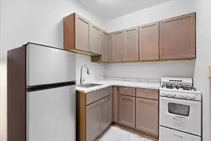3727 N Pine Grove Ave, Chicago, IL 60613 - Photo 2