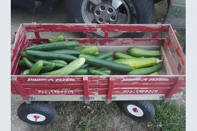 1221 N State Route 1 17 Route, Momence, IL 60954 - Photo 34