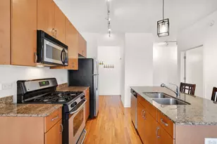 1515 S Halsted St, Chicago, IL 60607 - Photo 6