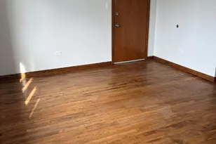 4801 S Kolin Ave, Chicago, IL 60632 - Photo 2