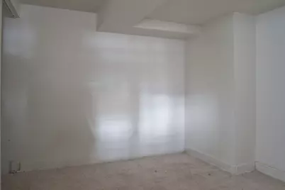 4529 S Vincennes Avenue, Chicago, IL 60653 - Photo 28