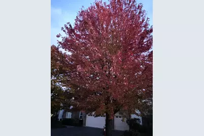 1163 Omalley Drive, Lake Zurich, IL 60047 - Photo 50