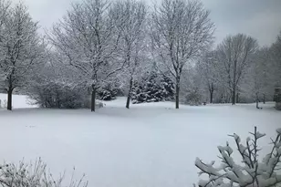 1163 O'Malley Dr, Lake Zurich, IL 60047 - Photo 48