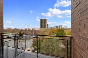 207 E 31st St, Chicago, IL 60616 - Photo 10