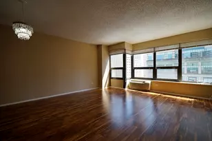 30 E Huron St, Chicago, IL 60611 - Photo 2