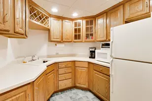 [Address not provided], Western Springs, IL 60558 - Photo 18