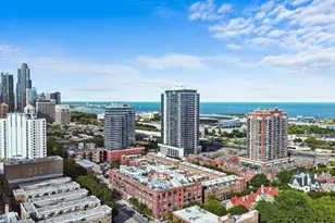 1727 S Indiana Ave, Chicago, IL 60616 - Photo 24