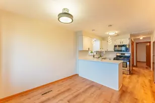 6210 W 64th St, Chicago, IL 60638 - Photo 2