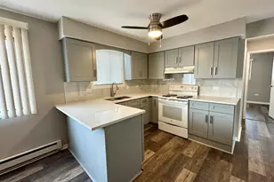 6334 W 65th St, Chicago, IL 60638 - Photo 4