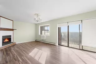 4711 Saint Joseph Creek Dr, Lisle, IL 60532 - Photo 4