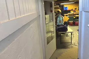 517 W Beaver St, Saint Anne, IL 60964 - Photo 18