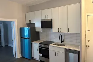 20 E Goethe St, Chicago, IL 60610 - Photo 4