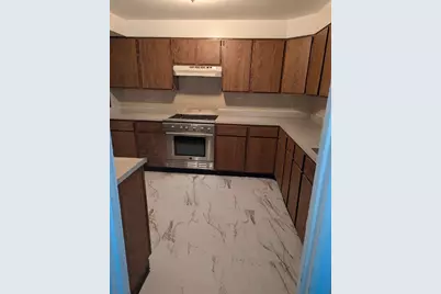 9517 S Merrion Avenue, Chicago, IL 60617 - Photo 4