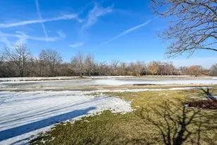 241 Wildflower Ln, La Grange, IL 60525 - Photo 28