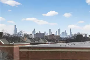 1151 E 46th St, Chicago, IL 60653 - Photo 30