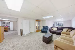 54 Village Woods Dr, Crete, IL 60417 - Photo 16