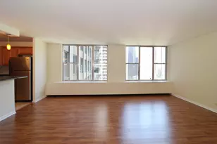 400 E Randolph St, Chicago, IL 60601 - Photo 6