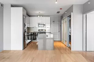 21 W Chestnut St, Chicago, IL 60610 - Photo 6