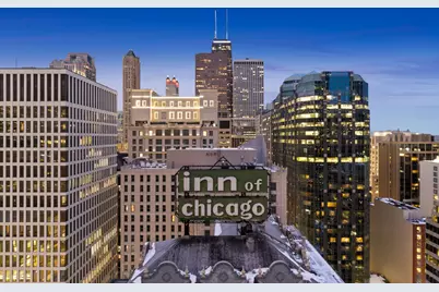 550 N Saint Clair Street #2503, Chicago, IL 60611 - Photo 12