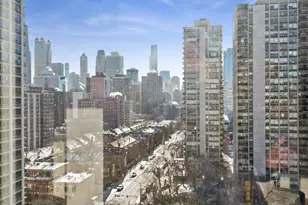 1455 N Sandburg Terrace, Chicago, IL 60610 - Photo 16