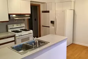 9532 Springfield Ave, Evanston, IL 60203 - Photo 10