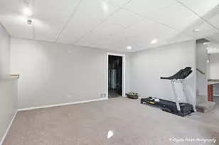 5301 Autumn Way, Johnsburg, IL 60051 - Photo 30