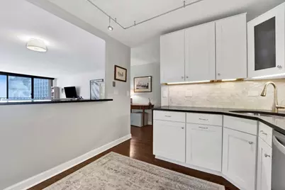 3150 N Sheridan Road #14A, Chicago, IL 60657 - Photo 4