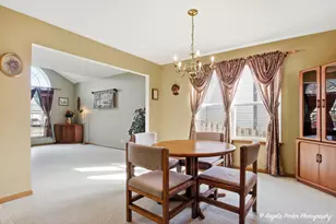 1949 W Windsor Dr, Round Lake, IL 60073 - Photo 14