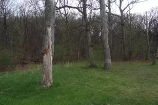 Lot 012 Tuscola Ave, Saint Charles, IL 60174 - Photo 1