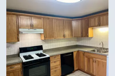 3535 S Lowe Avenue #1, Chicago, IL 60609 - Photo 12