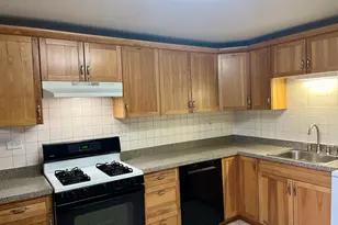 3535 S Lowe Ave, Chicago, IL 60609 - Photo 12