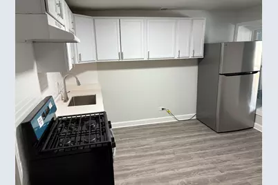 1642 S Karlov Avenue, Chicago, IL 60623 - Photo 10