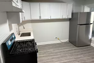 1642 S Karlov Ave, Chicago, IL 60623 - Photo 10