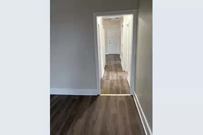 1642 S Karlov Avenue, Chicago, IL 60623 - Photo 8