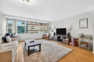 211 E Ohio St, Chicago, IL 60611 - Photo 10