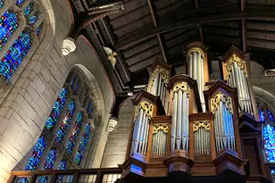 5050 S East End Ave, Chicago, IL 60615 - Photo 40