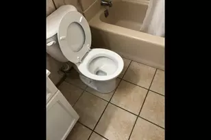 7901 Newland Ave, Burbank, IL 60459 - Photo 10