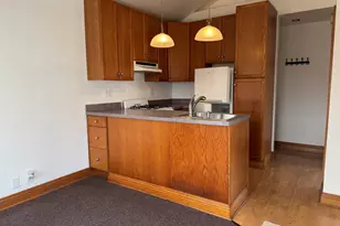 215 E Pine Ave, Roselle, IL 60172 - Photo 28